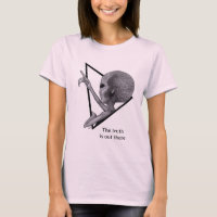 Alien gris, la vérité est là