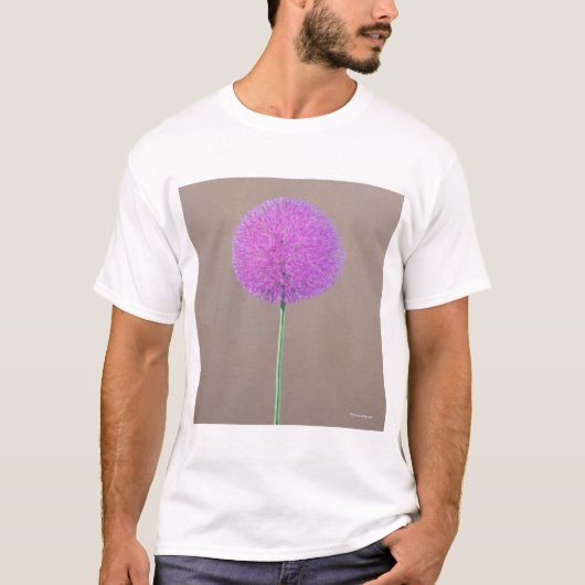 T-shirt Alium (Devant)