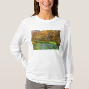 T-shirt Alley Spring Automne Eau