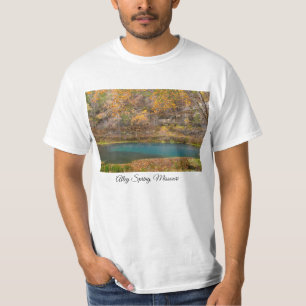 T-shirt Alley Spring View