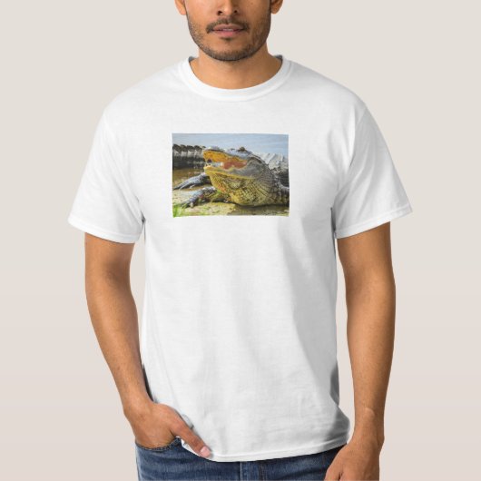 T-shirt Alligator. Face à face (Devant)