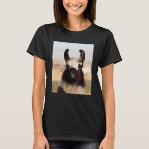 T-shirt Alpaca montrant un animal mou et visage