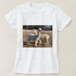 T-shirt - Alpacas Abby & Bailey