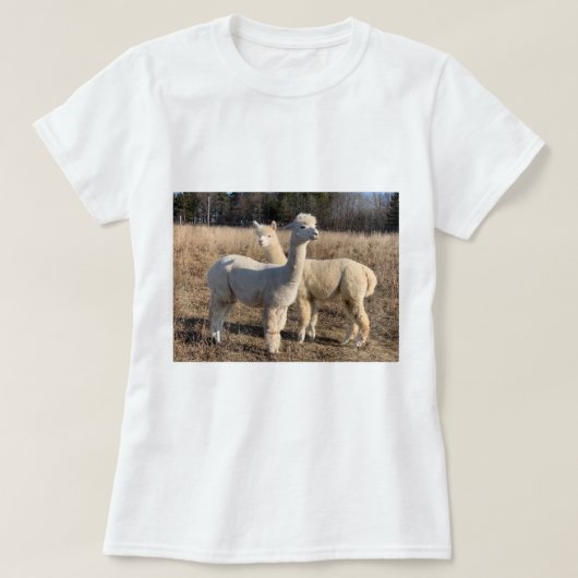 T-Shirt - Alpacas Abby & Bailey (Design devant)