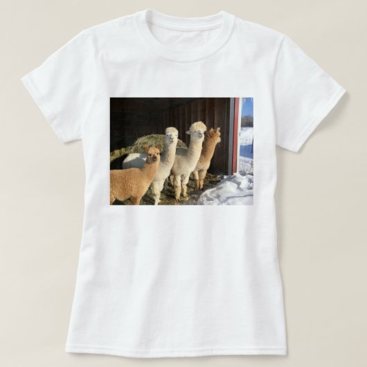 T-shirt - Alpacas au soleil d'hiver (Design devant)