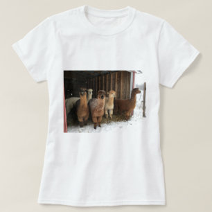 T-shirt - Alpaca's in de sneeuw