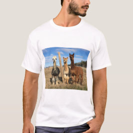 T-shirt - Alpacas Phaethon, Barley & Marvin