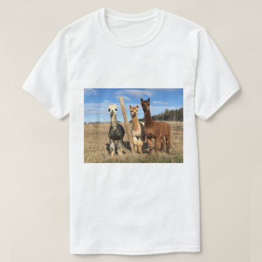 T-Shirt - Alpacas Phaethon, orge et Marvin (Design devant)
