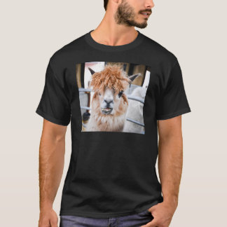 T-shirt Alpaga