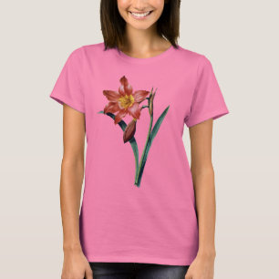 T-shirt Amaryllis