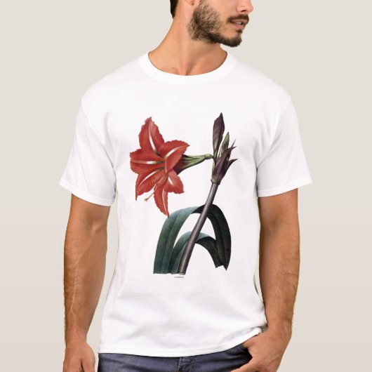 T-shirt Amaryllis barrée (Devant)
