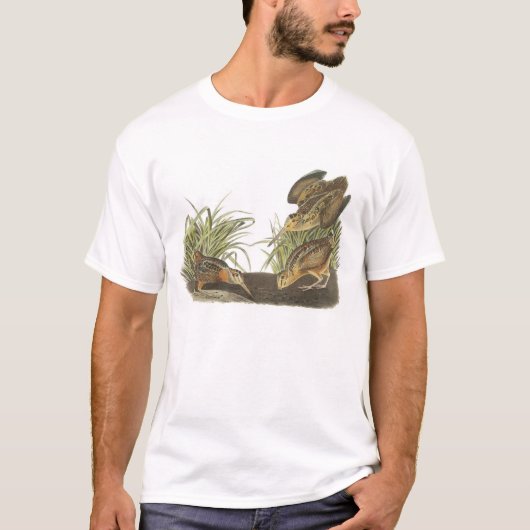 T-shirt American Woodcock par Audubon (Devant)