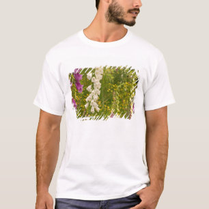 T-shirt Amérique du Nord, Canada, Îles de la Reine-Charlot