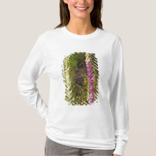 T-shirt Amérique du Nord, Canada, Îles de la Reine-Charlot