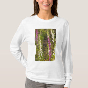 T-shirt Amérique du Nord, Canada, Îles de la Reine-Charlot