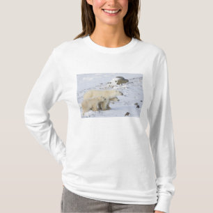 T-shirt Amérique du Nord, Canada, Manitoba, Churchill. 4