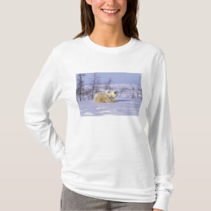 T-shirt Amérique du Nord, Canada, Manitoba, Churchill. 9
