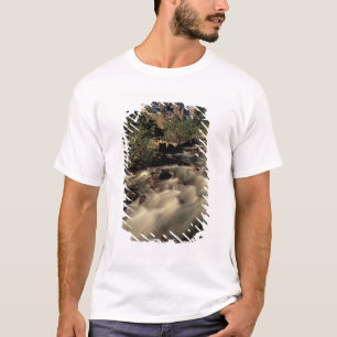 T-shirt Amérique du Nord, Canada, Rocheuses canadiennes, B