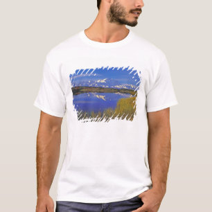 T-shirt Amérique du Nord, États-Unis, Alaska, Parc nationa