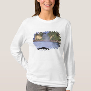 T-shirt Amérique du Nord, États-Unis, Alaska, Passage Inté