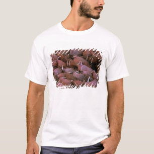 T-shirt Amérique du Nord, États-Unis, Alaska, Yukon Delta