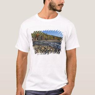 T-shirt Amérique du Nord, États-Unis, NH, Une plage de gal