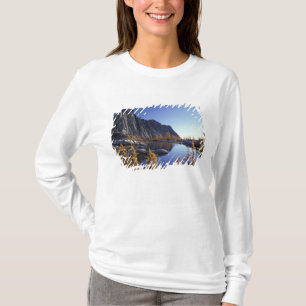 T-shirt Amérique du Nord, États-Unis, Washington, Enchante