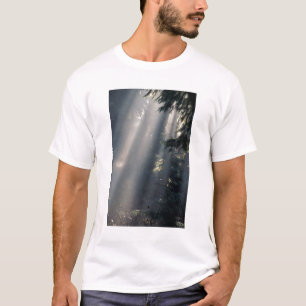 T-shirt Amérique du Nord, États-Unis, Washington, Parc nat