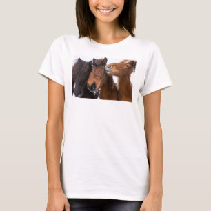T-shirt Amis du cheval islandais, Islande