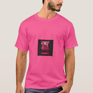T-shirt amis kaiju