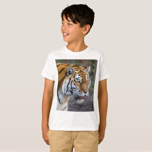 T-shirt Amur tiger (Devant entier)