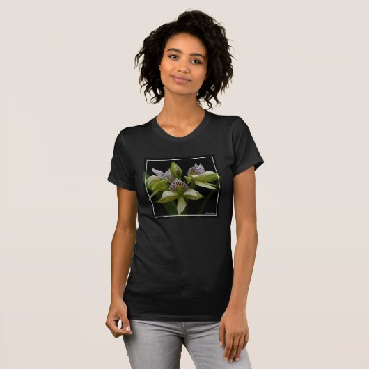 T-shirt Anacheilium Chacoense (Devant entier)