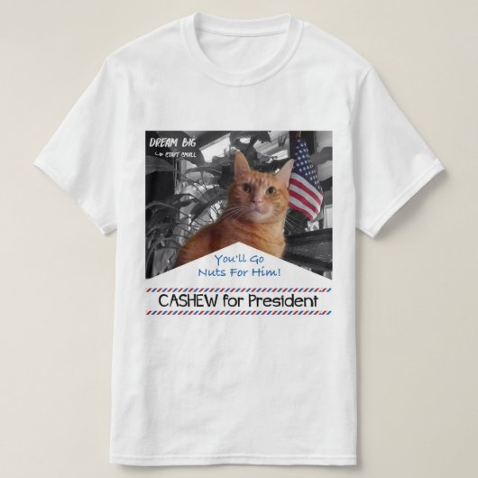 T-shirt Anarcadier pour le président (Design devant)
