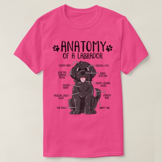 T-shirt Anatomie amusante Labrador Retriever Black Lab Chi (Design devant)