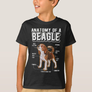 T-shirt Anatomie beagle drôle chien