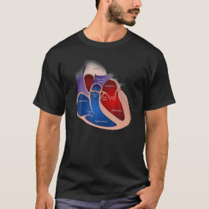 T-shirt Anatomie cardiaque
