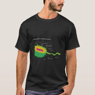 T-shirt Anatomie Cellule Bactérie Cellule Végétale