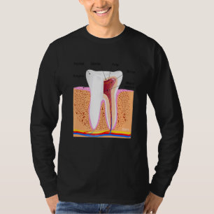 T-shirt Anatomie Dentaire Pour Dentin Dentin Enamel Ging