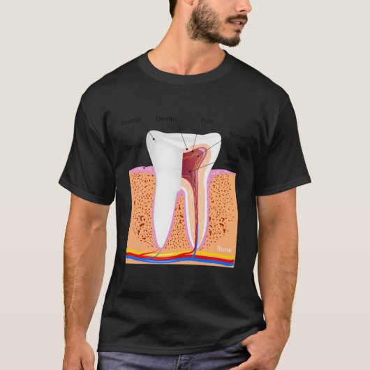 T-shirt Anatomie Dentaire Pour Dentin Dentin Enamel Ging (Devant)