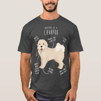 T-shirt Anatomie du chien Cavapoo 1