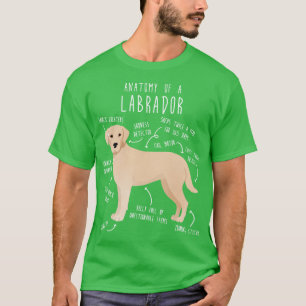 T-shirt Anatomie du chien de trieuse du Labrador jaune 1