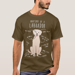T-shirt Anatomie du chien de trieuse du Labrador jaune 2