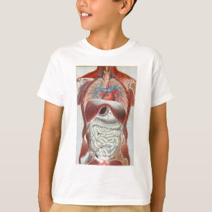 T-shirt Anatomie du corps humain