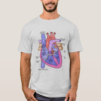 T-shirt Anatomie d'un coeur isolé