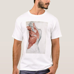 T-shirt Anatomie humaine ; Muscles du torse et de l'épaul