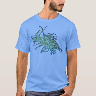 T-shirt Anémone 4