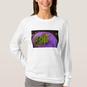 T-shirt Anemonefish et grande anémone