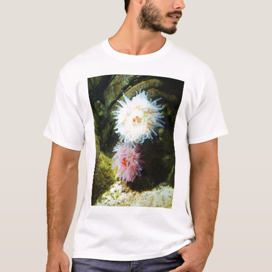 T-shirt Anémones de mer (Devant)