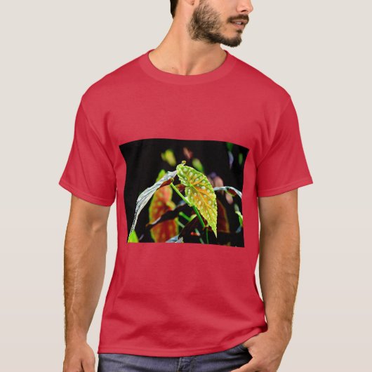 T-shirt Angel Wing Begonia Botanical (Devant)