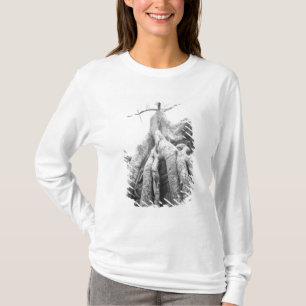 T-shirt Angkor Cambodge, Arbre Ta Prohm